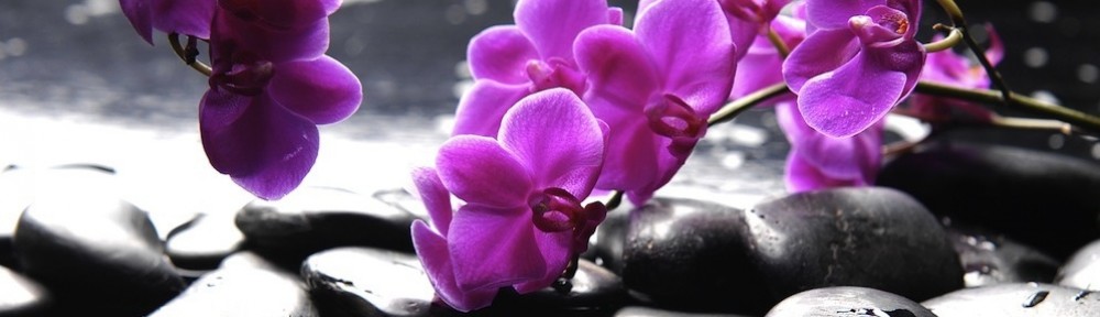 michelinemindfulhealer